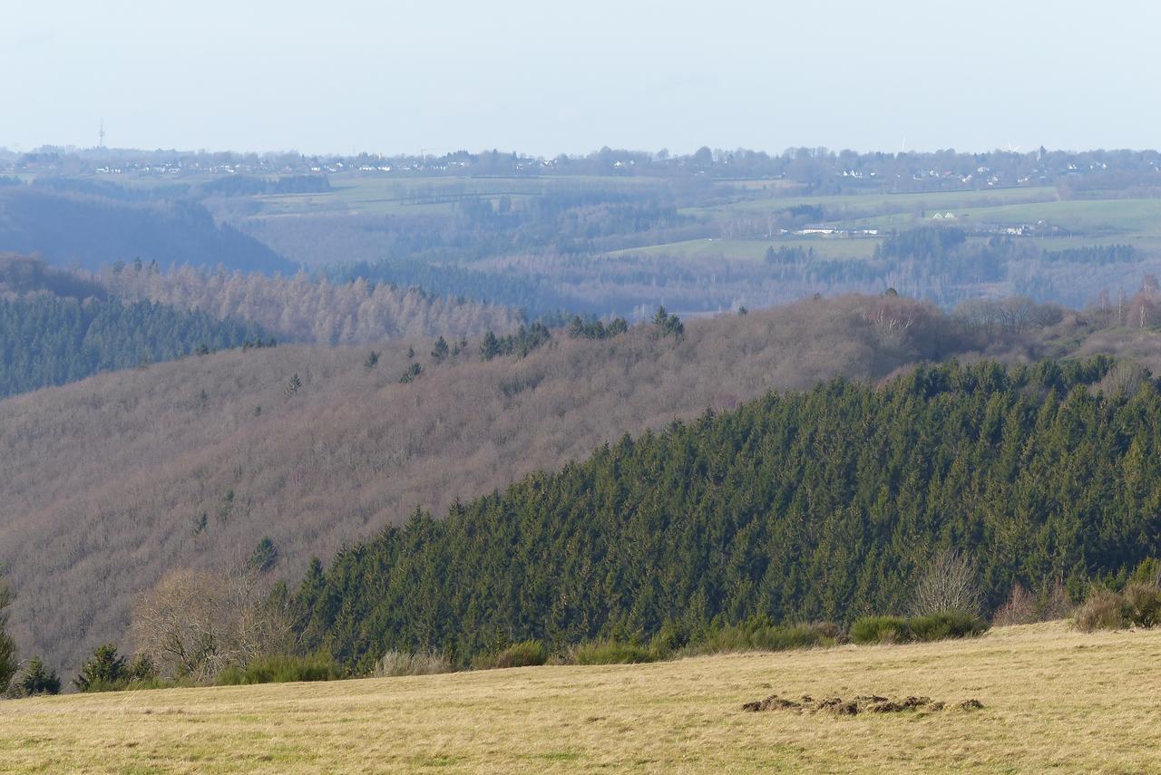 Chalets Am National Park Eifel 施莱登 外观 照片